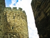 belgrade2010-8